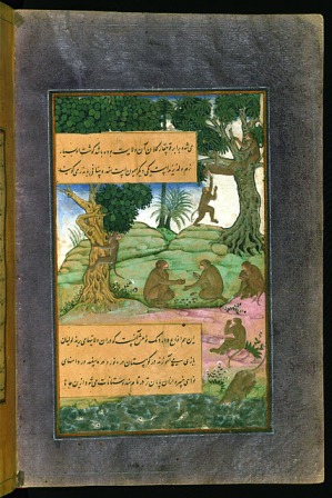 A Monkey, Bird and Story